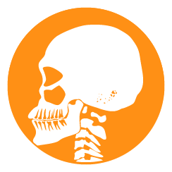 Headaches & Neck pain